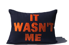 It Wasn't Me Pillow Cover